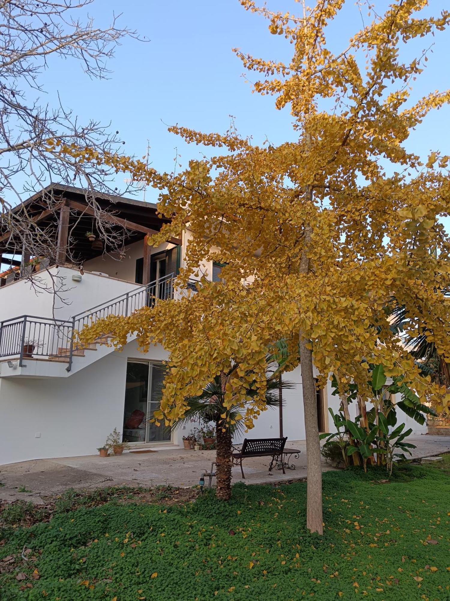 La Casa Del Noce Villa Ruffano Exterior foto